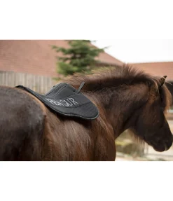 Amortisseur confort Anda