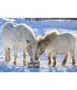 Assortiment de friandises