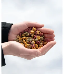 Assortiment de mini-friandises