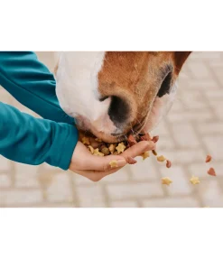 Assortiment de mini-friandises