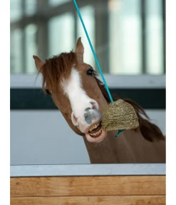 Balle de jeu carotte