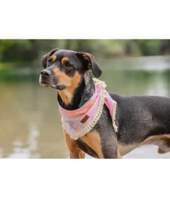 Bandana Batik pour chien Dakota