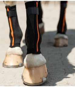 Bandes de compression Ceramic Rehab, pour antérieurs