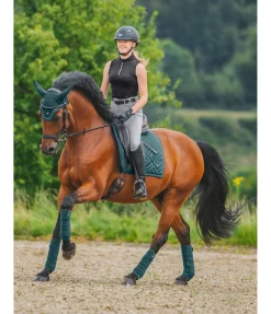 Bandes en polaire Brilliant