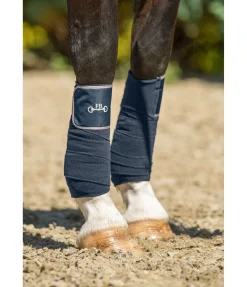 Bandes en polaire Classy