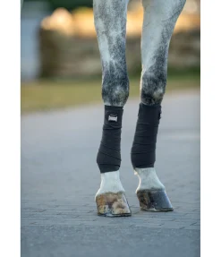 Bandes en polaire Essential