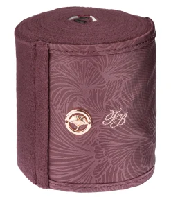 Bandes en polaire Hope