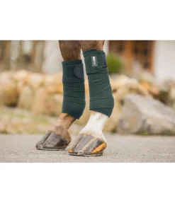 Bandes en polaire Swiss Design