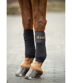 Bandes polaires Ceramic Rehab