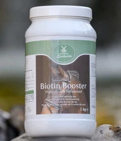 Biotine Booster