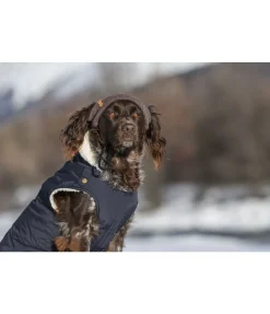 Bonnet pour chien Evin