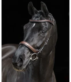 Bridon Anatomical Vision Space