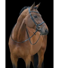 Bridon Comfort Space