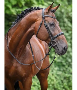 Bridon avec boucle de noseband amovible Mirissa