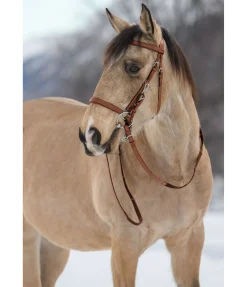 Bridon de randonnée Nevada
