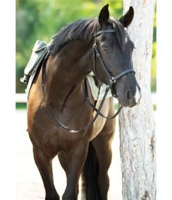 Bridon de randonnée Nevada