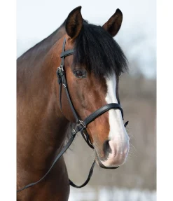 Bridon de randonnée Nevada