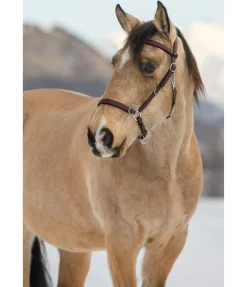 Bridon de randonnée imperméable Eifel