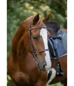 Bridon de randonnée imperméable Eifel