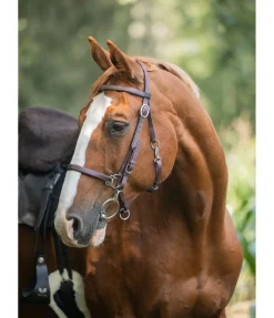 Bridon de randonnée imperméable Eifel