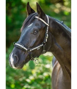 Bridon multifonction