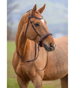 Bridon sans embouchure Gentle Connection