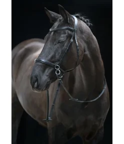 Bridon sans mors 5 en 1