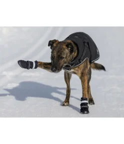 Chaussons pour chien Antarctica