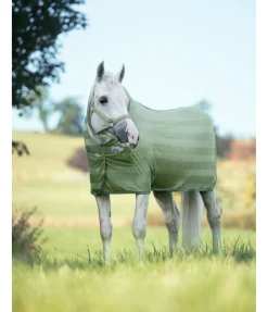 Chemise anti-mouches Economy Light