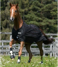 Chemise anti-mouches Economy Light