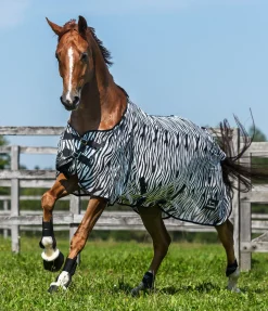 Chemise anti-mouches Zebra