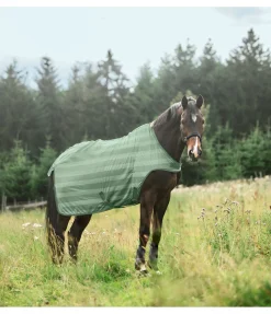 Chemise de marcheur anti-mouches Economy Light