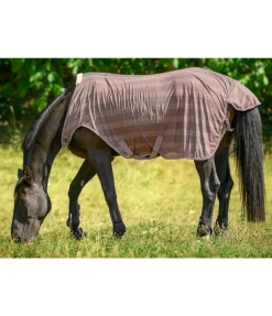 Chemise de marcheur anti-mouches Economy Light