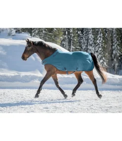 Chemise de marcheur en polaire Activity