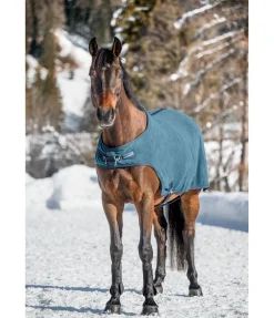 Chemise de marcheur en polaire Activity