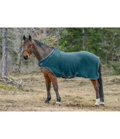 Chemise de marcheur en polaire Activity