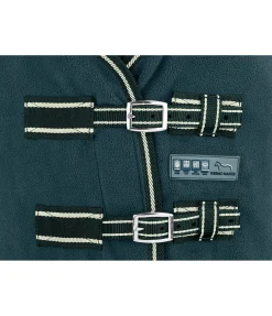 Chemise polaire Activity