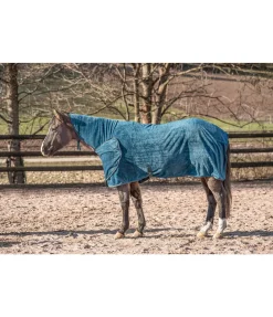 Chemise séchante Stella