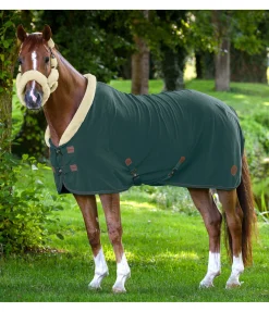 Chemise séchante avec col en polaire Teddy Timeless Elegance