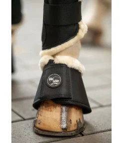 Cloches Save the Sheep