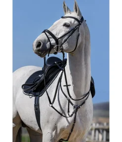 Collier de chasse élastique Parcours