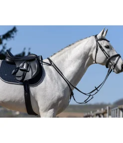 Collier de chasse élastique Parcours