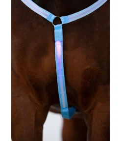 Collier de chasse LED Loom