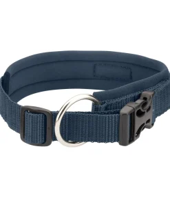 Collier pour chien Becks