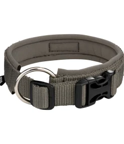 Collier pour chien Becks