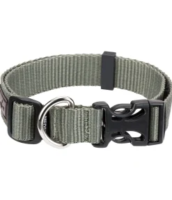 Collier pour chien Champ