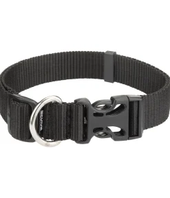 Collier pour chien Champ