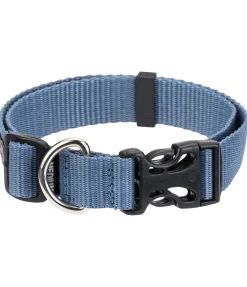 Collier pour chien Champ