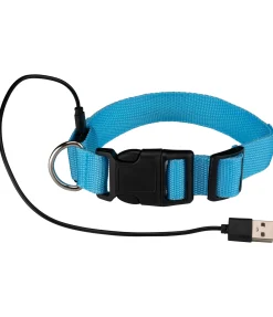 Collier pour chien LED Sugar Dog Loom