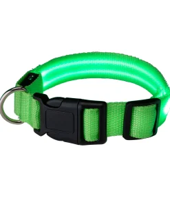 Collier pour chien LED Sugar Dog Loom